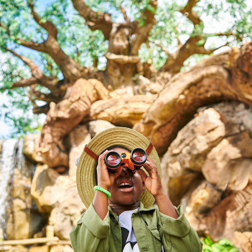 Tour Image