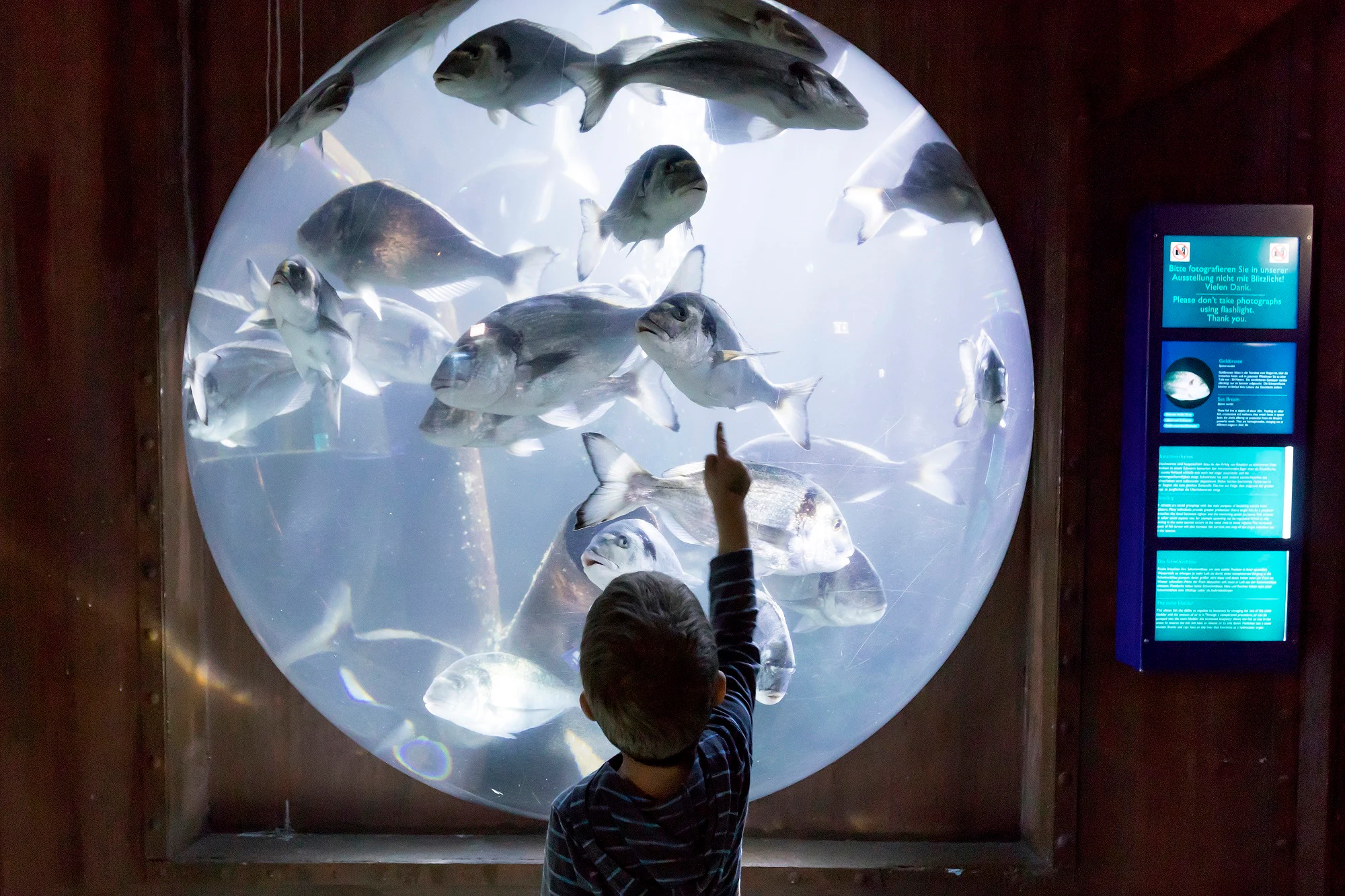 SEA LIFE Speyer + Frankfurt: Panorama City Cruise