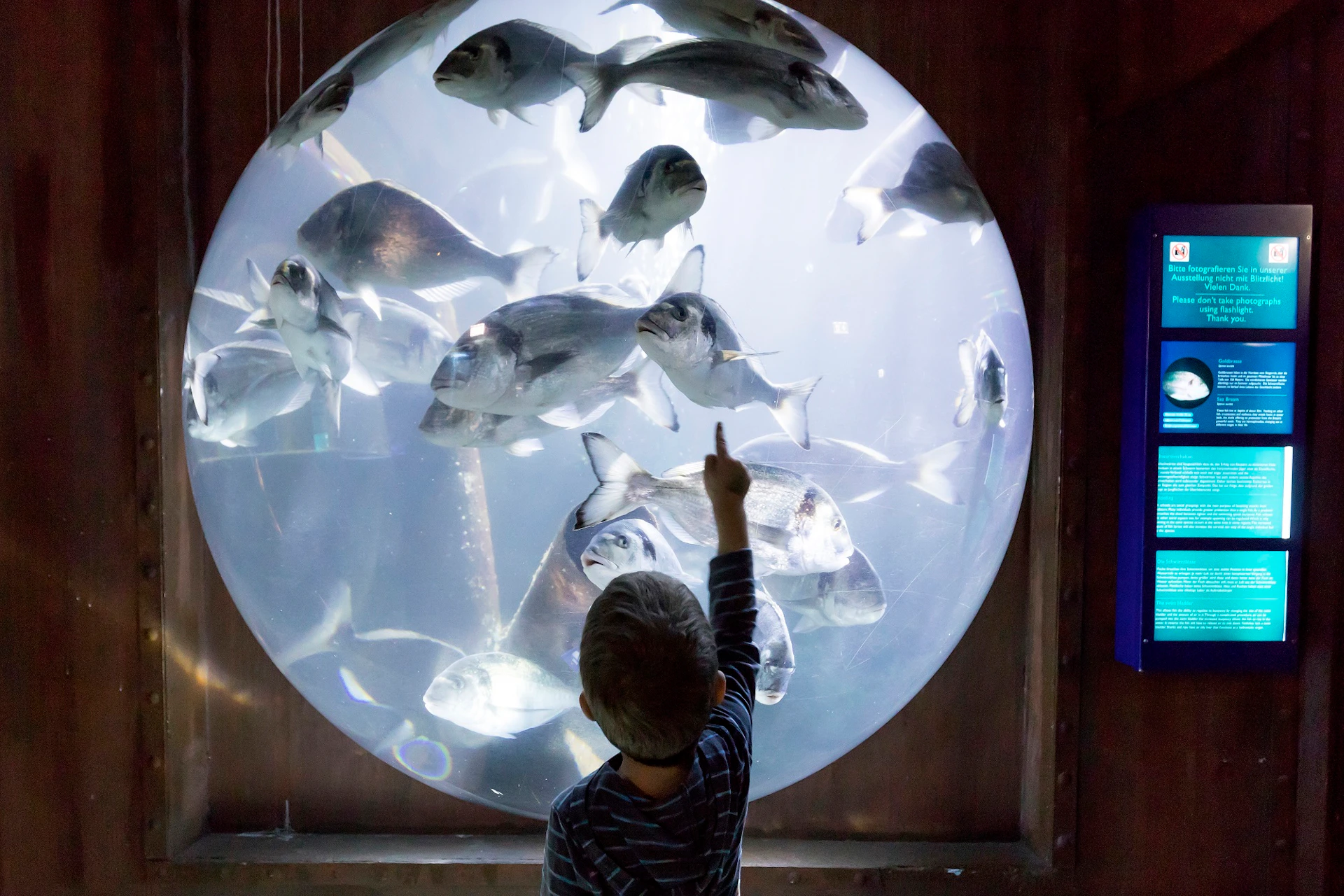 A child points at fish swimming inside a large circular aquarium.