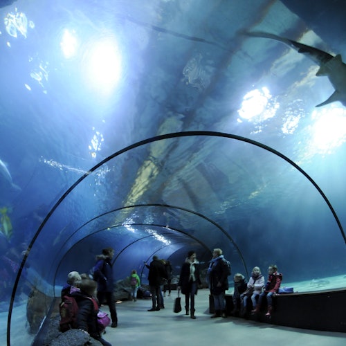 Tour Image 2