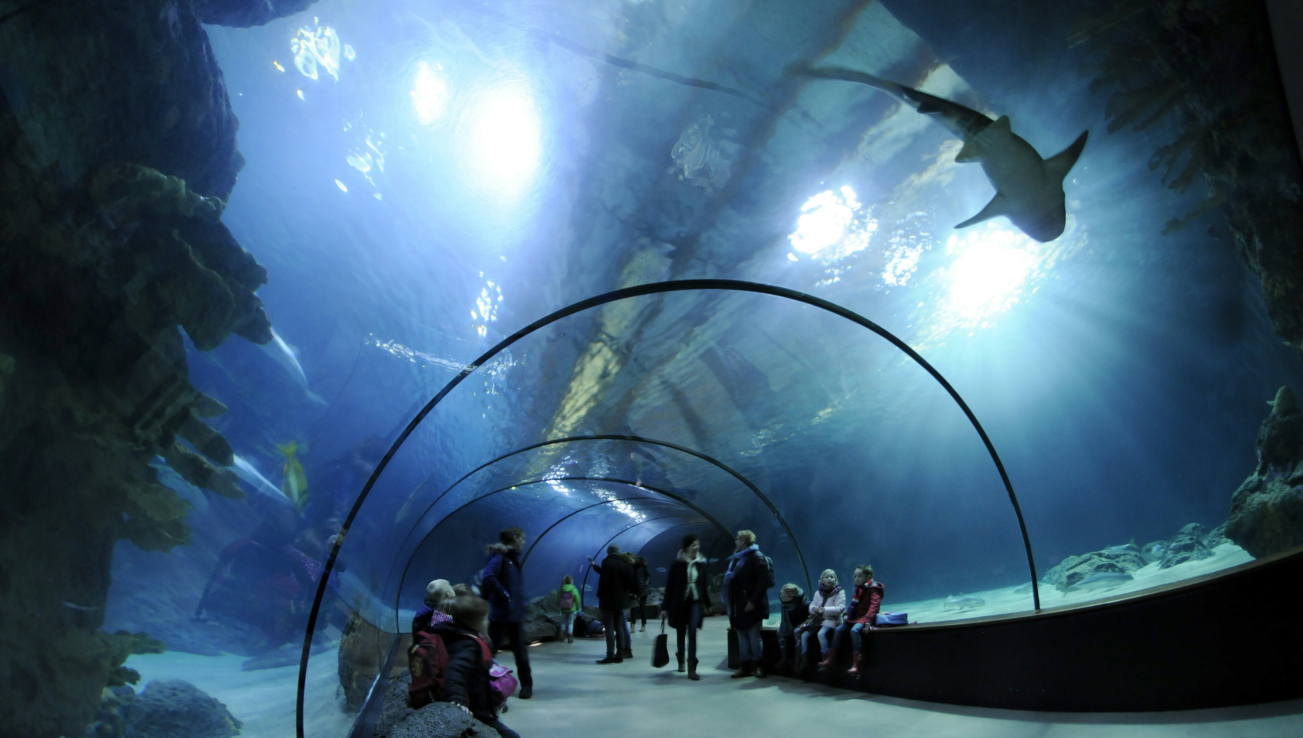 Rotterdam Zoo + Euromast