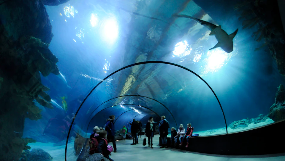 Oceanium