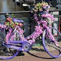 암스테르담과 수많은 자전거!