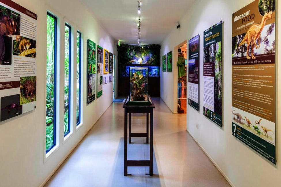 Tamborine Mountain Rainforest Skywalk