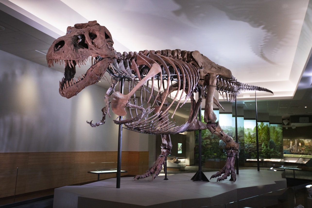 Museu Field de História Natural: entrada comum - Acomodações em Chicago