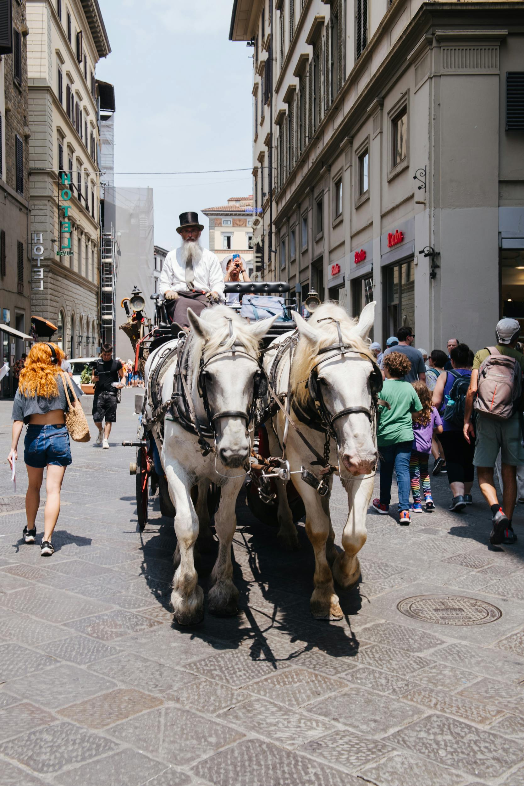 2頭の白い馬を乗せた馬車が、市街地の歩行者と建物の混雑した通りを移動しています。