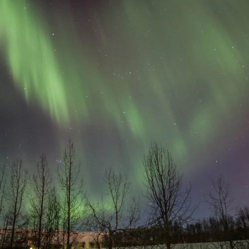 Akureyri: Small-Group Northern Lights Tour
