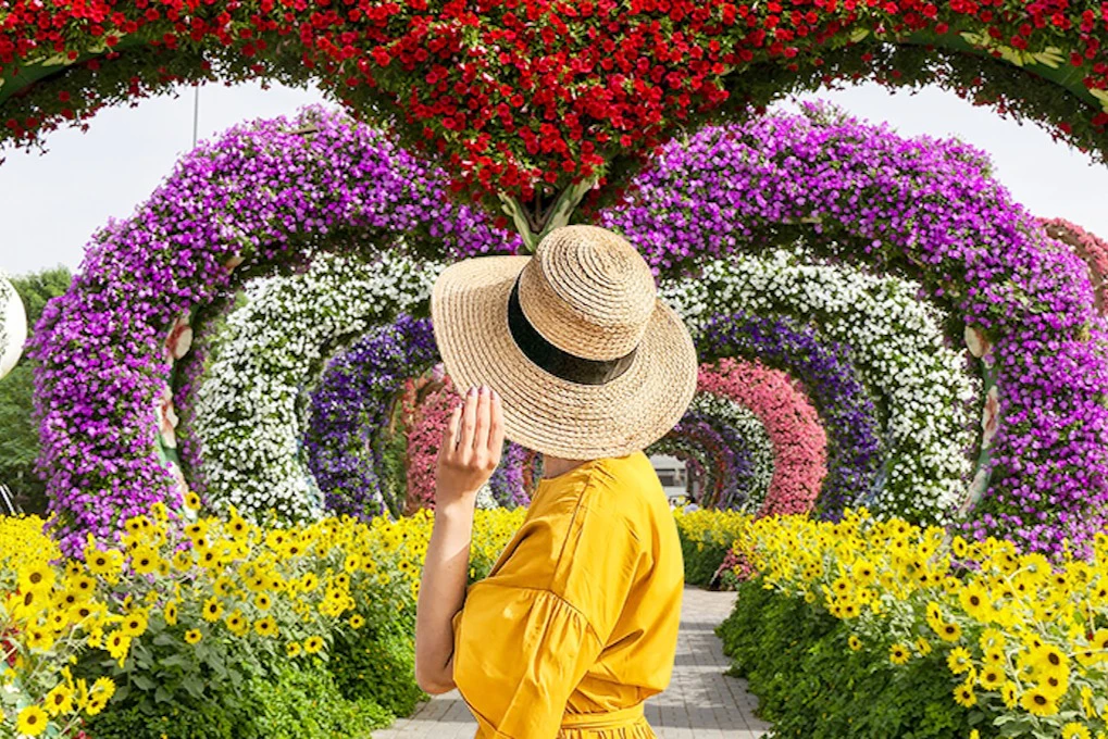 Dubai Miracle Garden: Entry Ticket + Hotel Transfer
