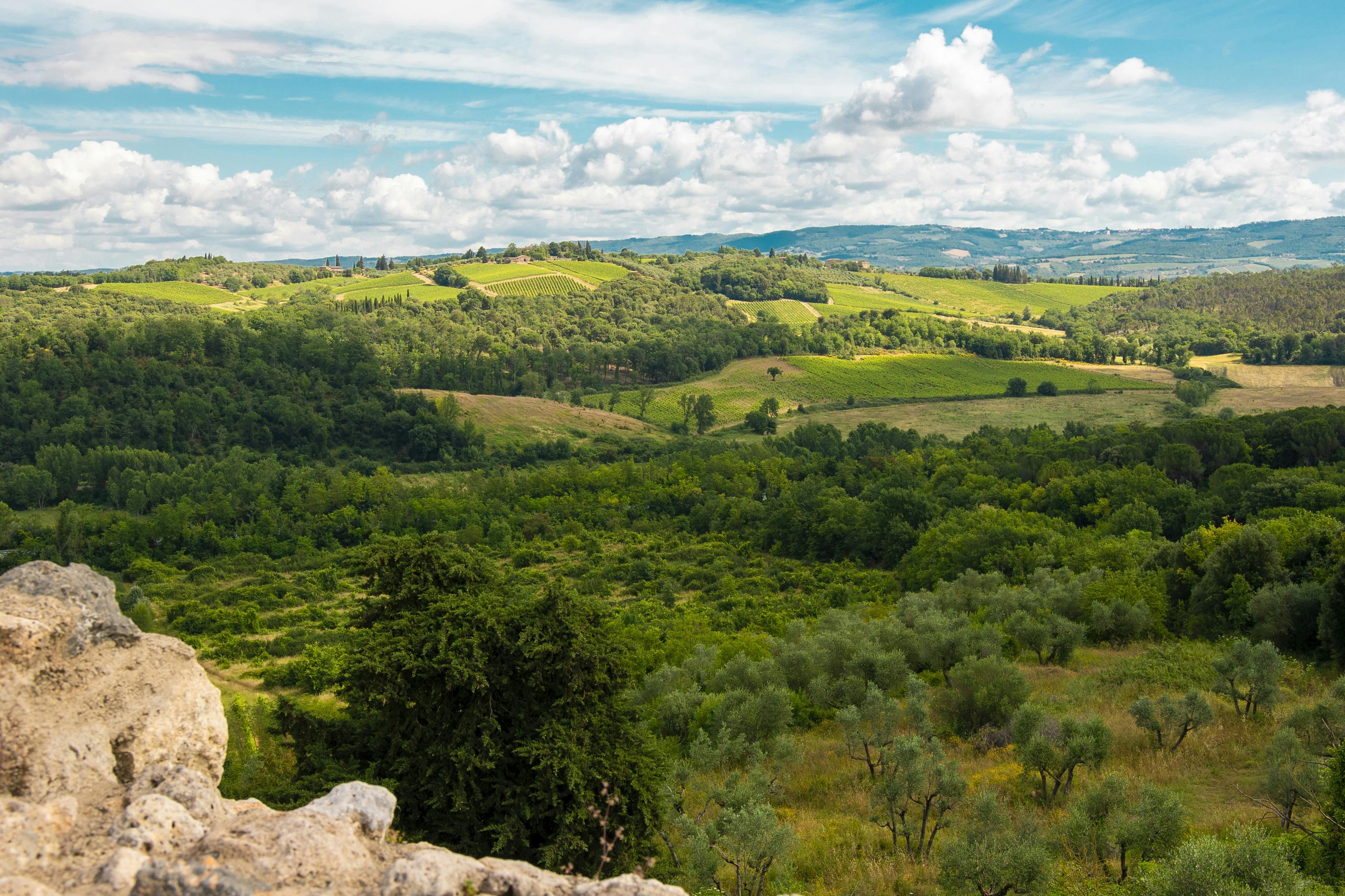 Medieval Tuscany Experience: Visit Monteriggioni and Val d'Orcia from Florence
