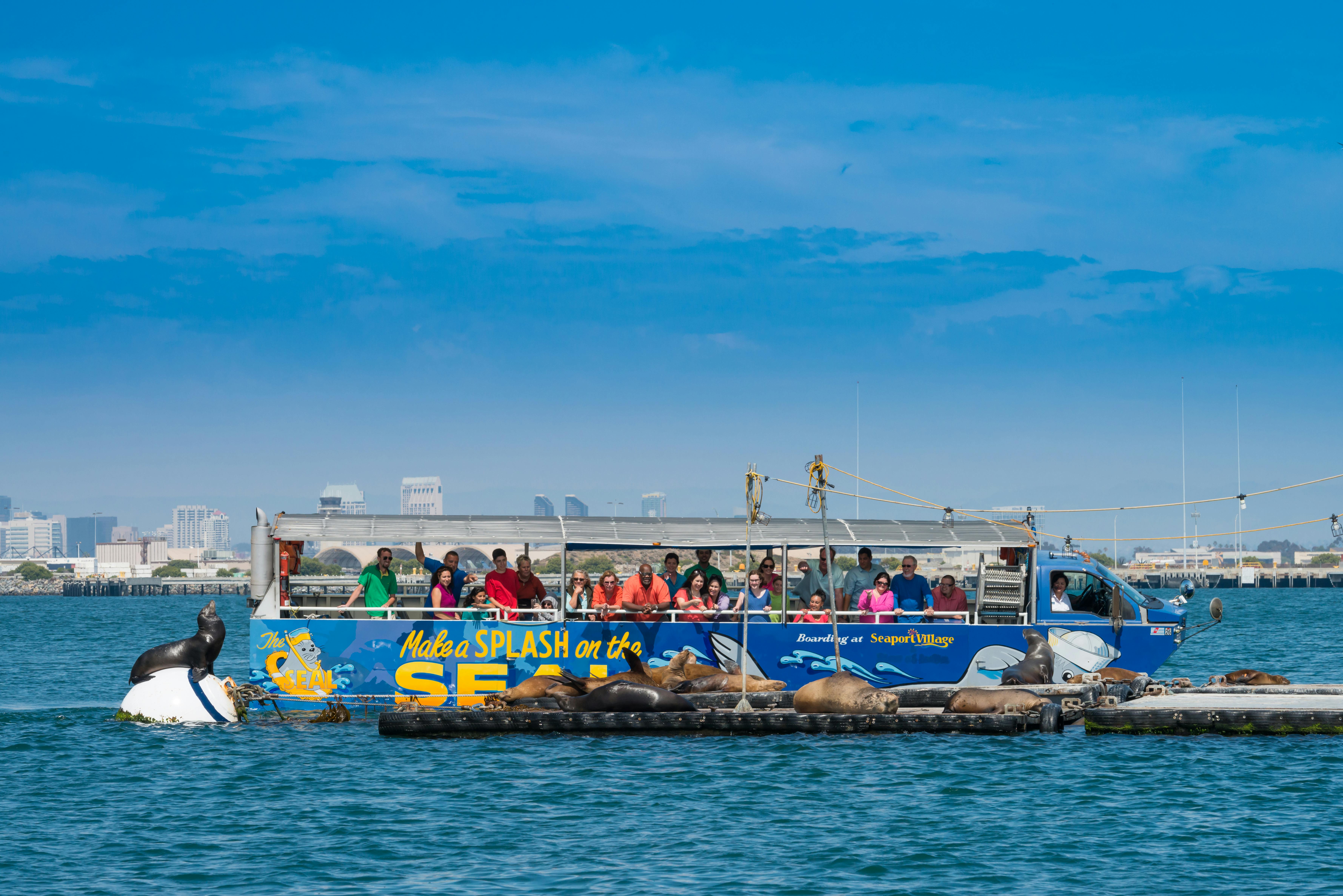 A boat tour group watches sea lions resting on floating docks in bright sunlight with city buildings faintly visible in the background.