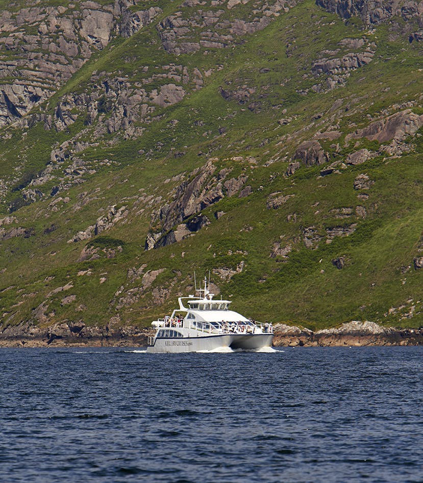 Passeios de barco em Westport (Irlanda)