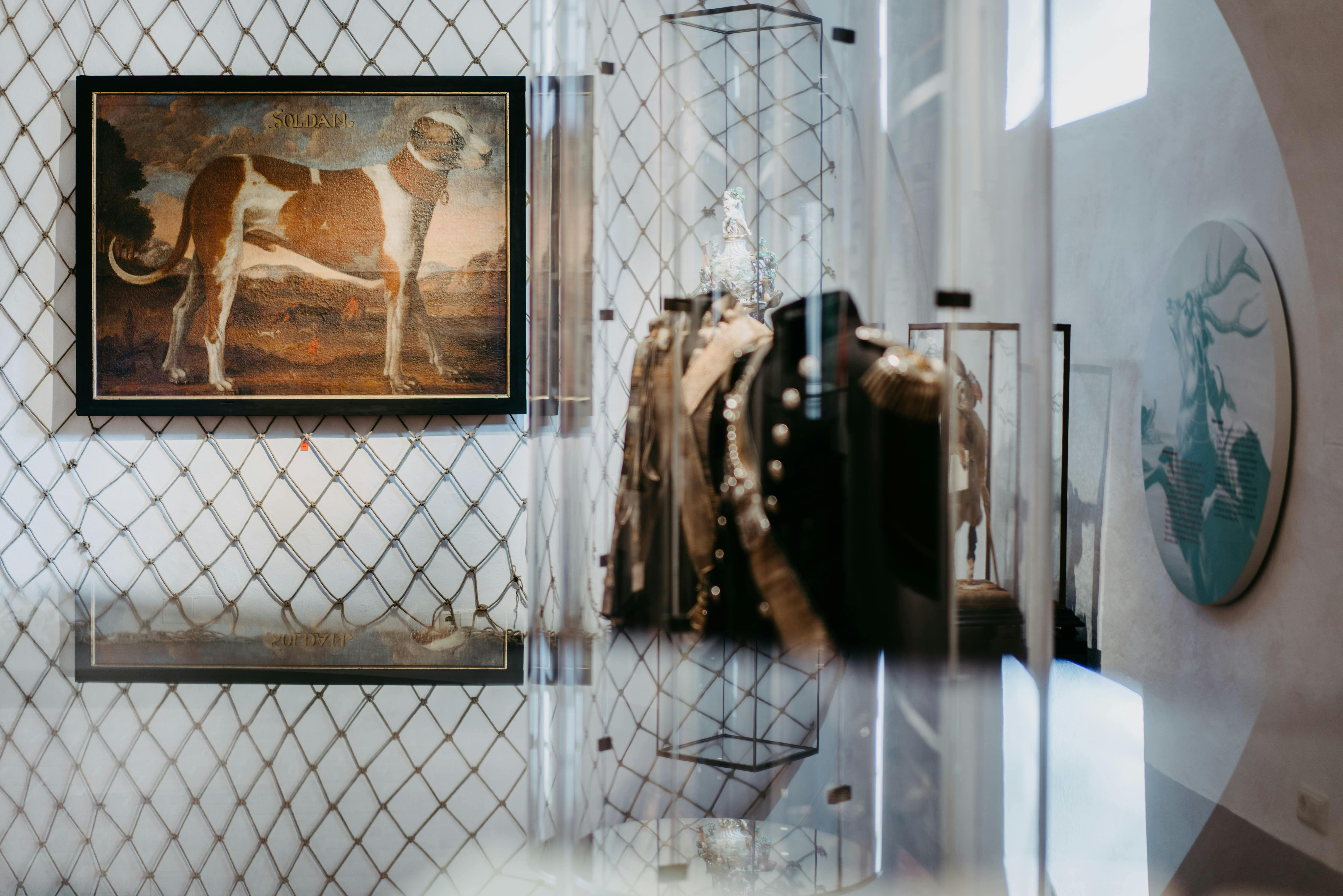 一个展览室，配有玻璃外壳的复古军用夹克，背景画着一只戴帽子的狗。