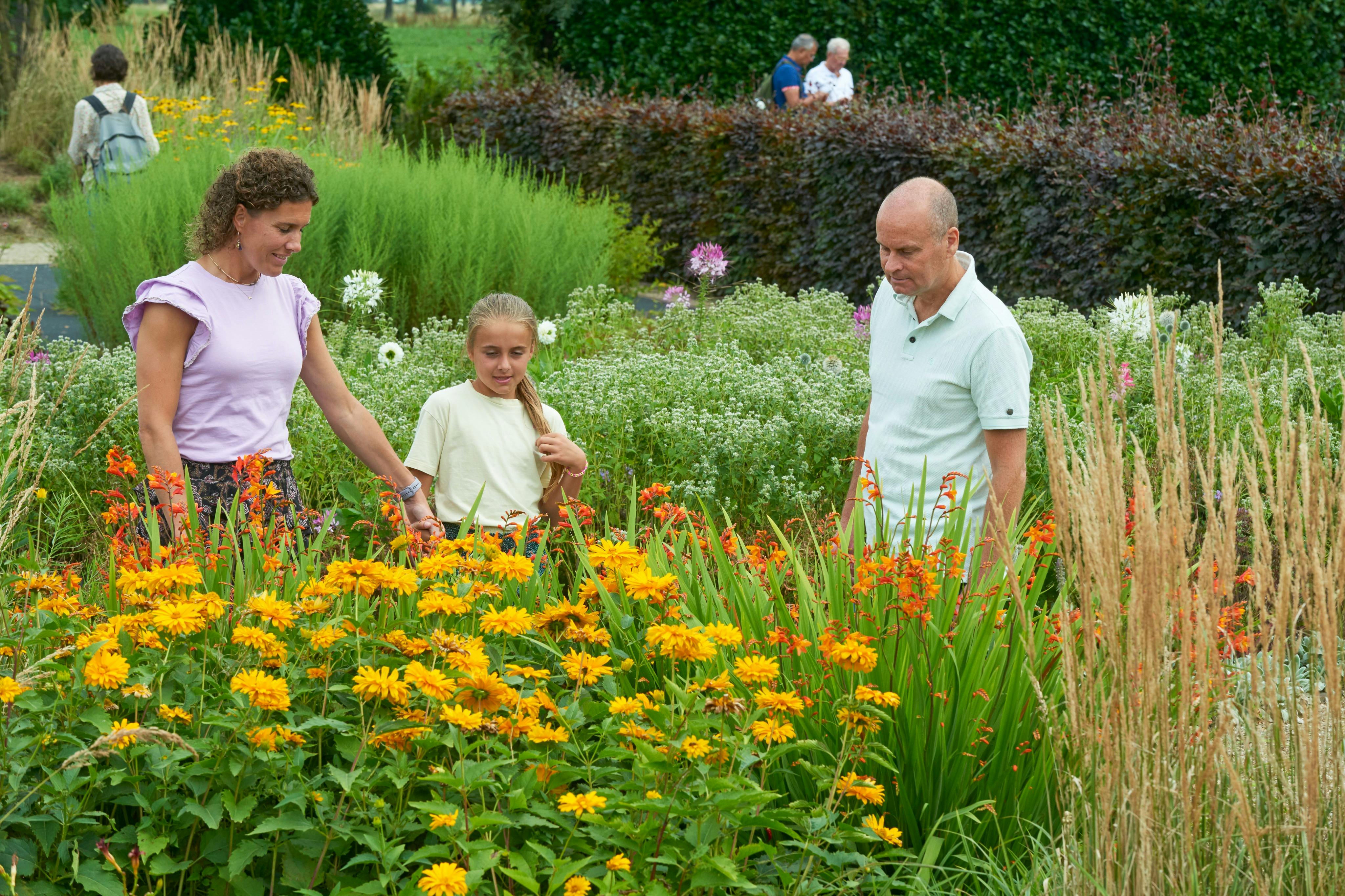 阿佩尔滕花园（ Flowerpark Appeltern ）的鲜花