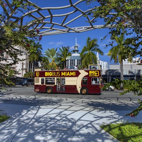 Bus turístico Miami