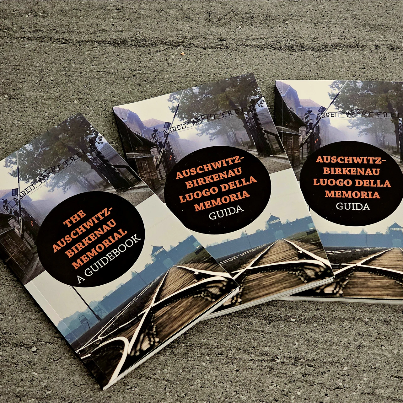 Auschwitz-Birkenau: Self-Guided Tour + Transport in Krakow β Tiqets