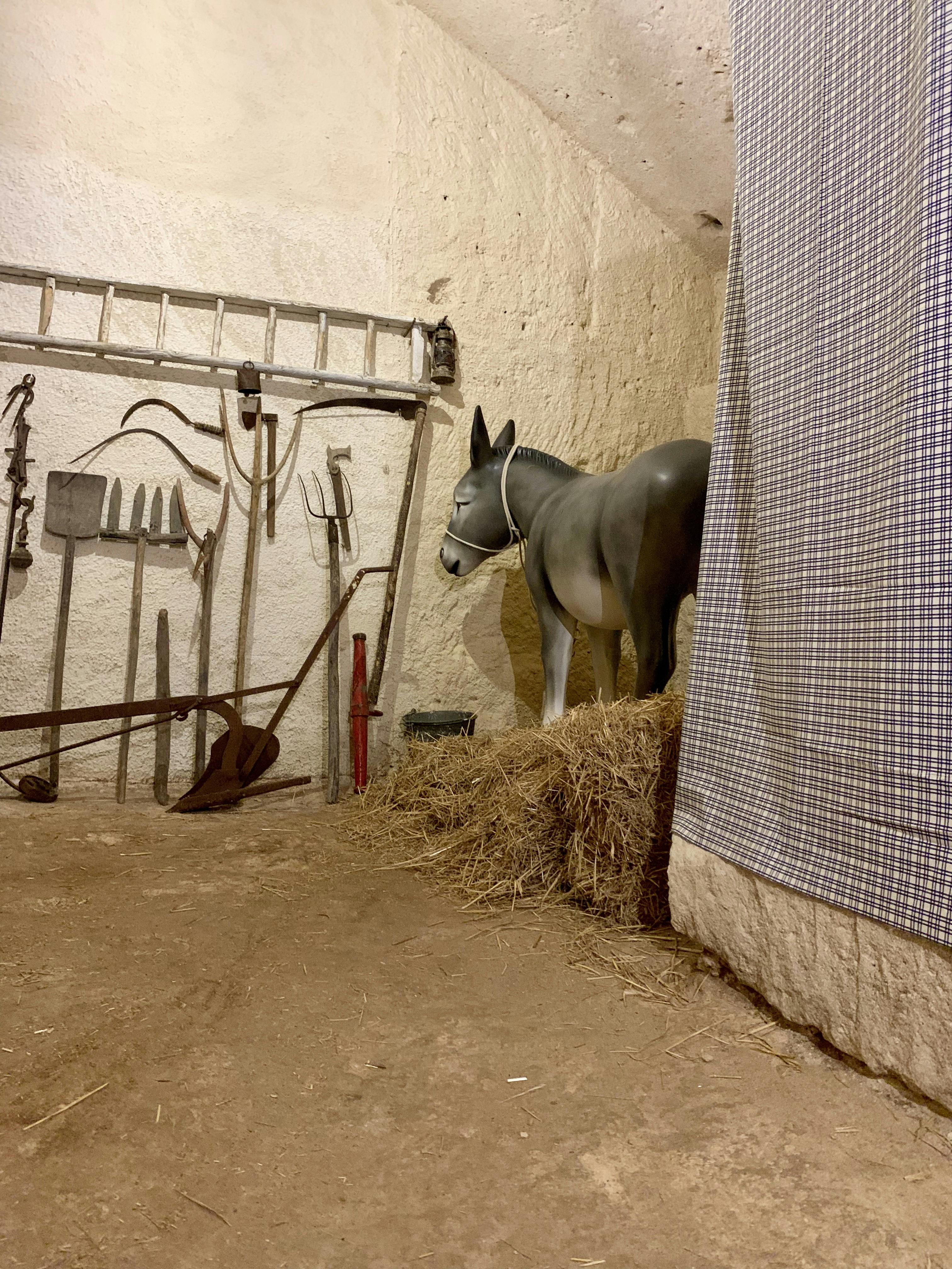 Una stalla con attrezzi agricoli sul muro, un forcone nel fieno e una statua di asino accanto a una tenda a quadretti.
