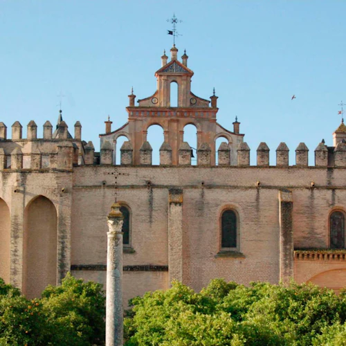 Monasterio San Isidoro del Campo: Guided Tour