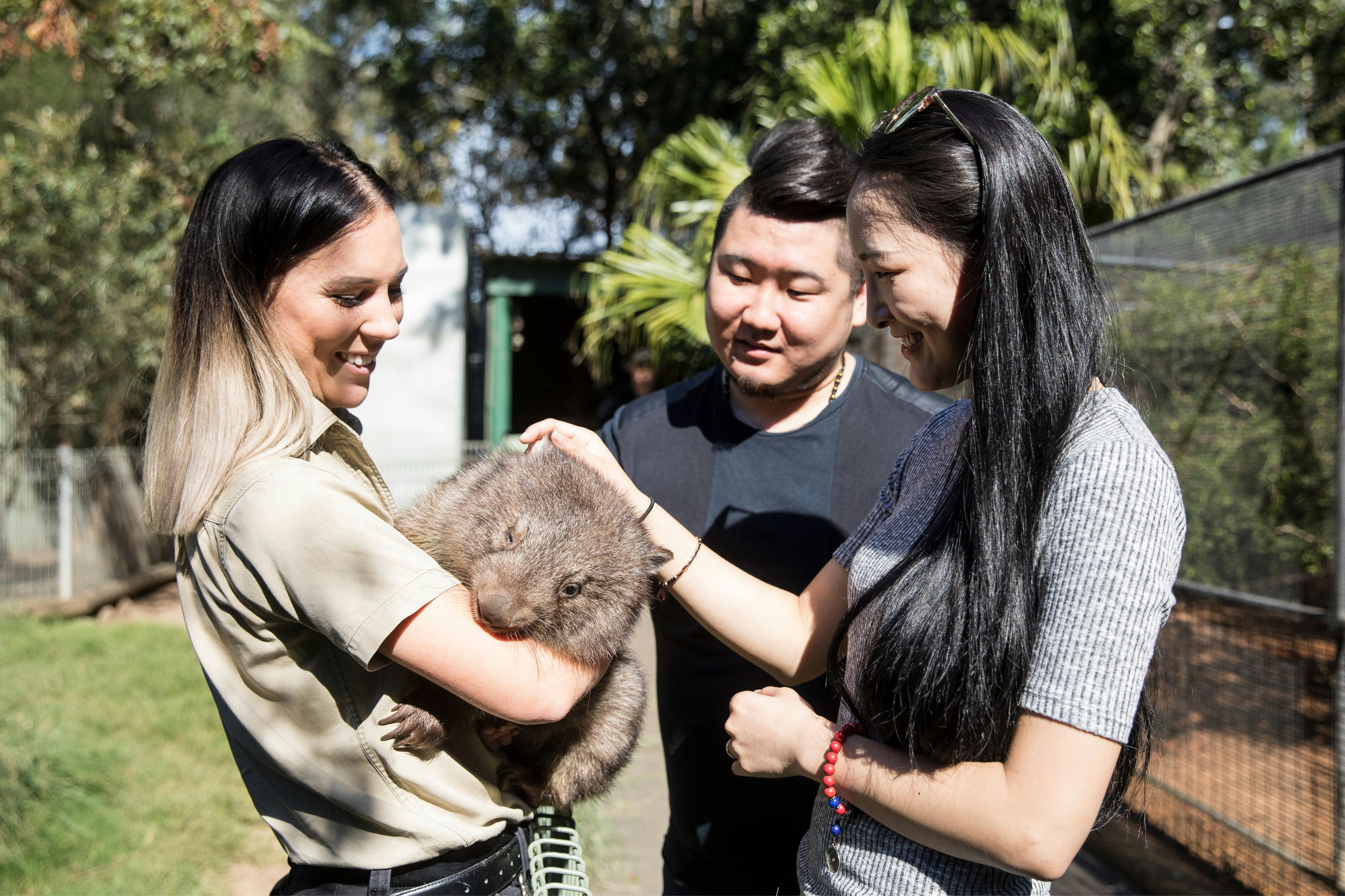 Ένα ζευγάρι συναντά έναν φασκωλόμυ σε ένα τοπικό πάρκο άγριας ζωής