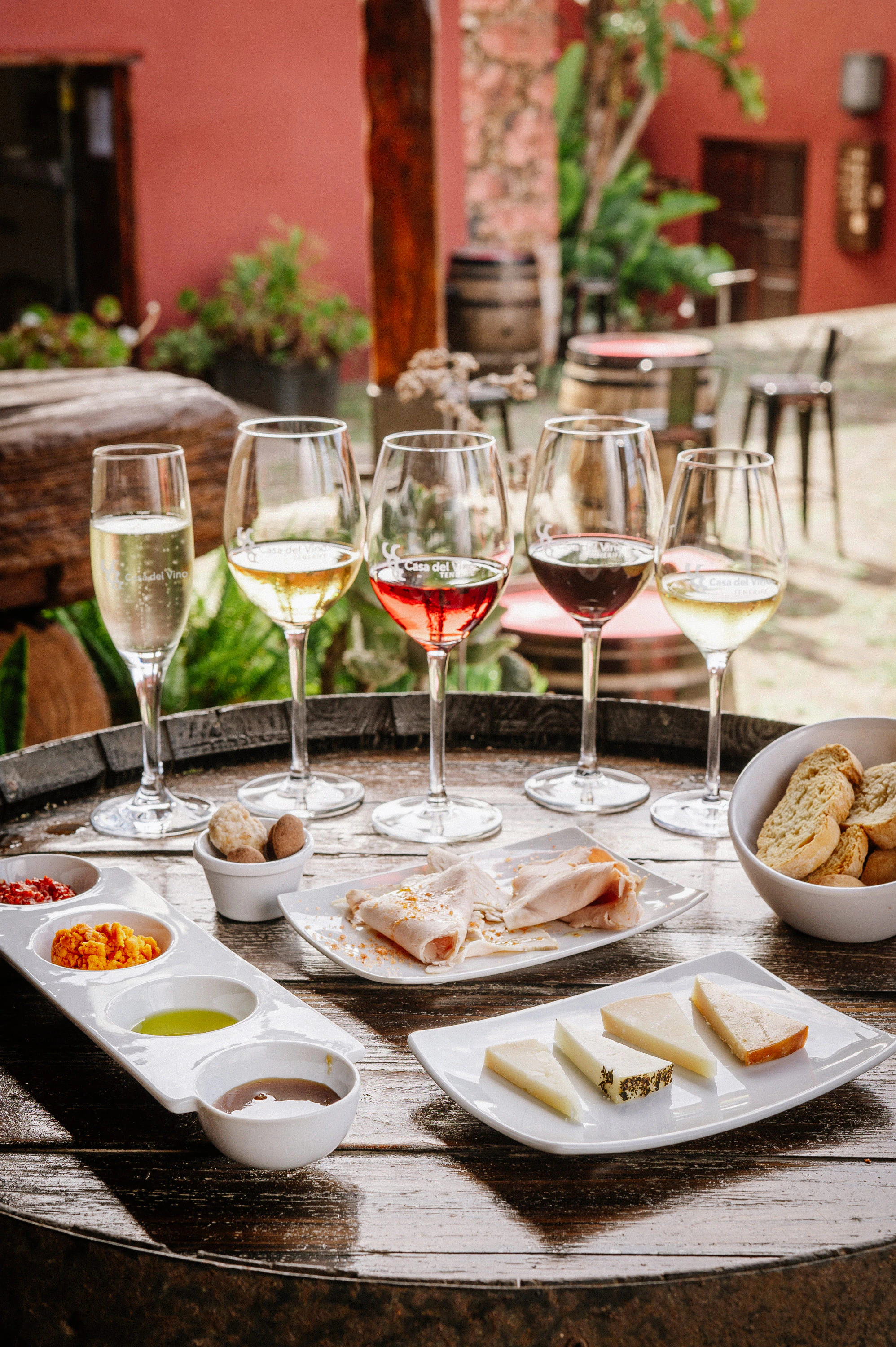 Museo del Vino de Tenerife: Visit and Tasting