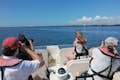 Birdwatching on a solar powered boat trip in Ria Formosa
