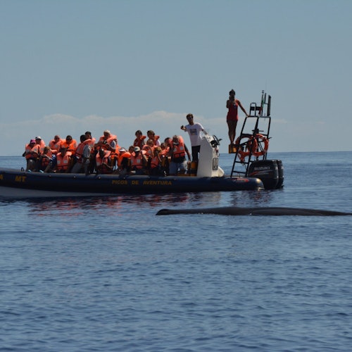 Tour Image 2