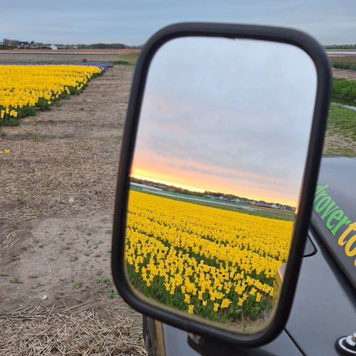 Amesterdão: Visita guiada Land Rover às Tulipas - Photo 7