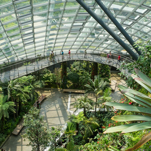 Großes überdachtes Gewächshaus mit Glasdach, üppigen tropischen Pflanzen und einem erhöhten Gehweg, auf dem Menschen gehen.