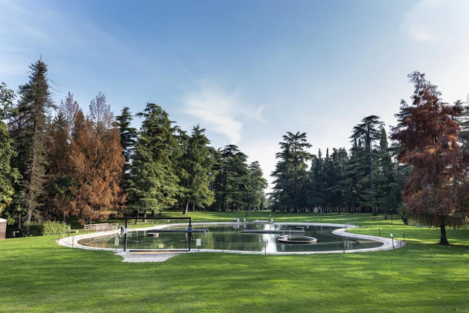Villa of the Cedars