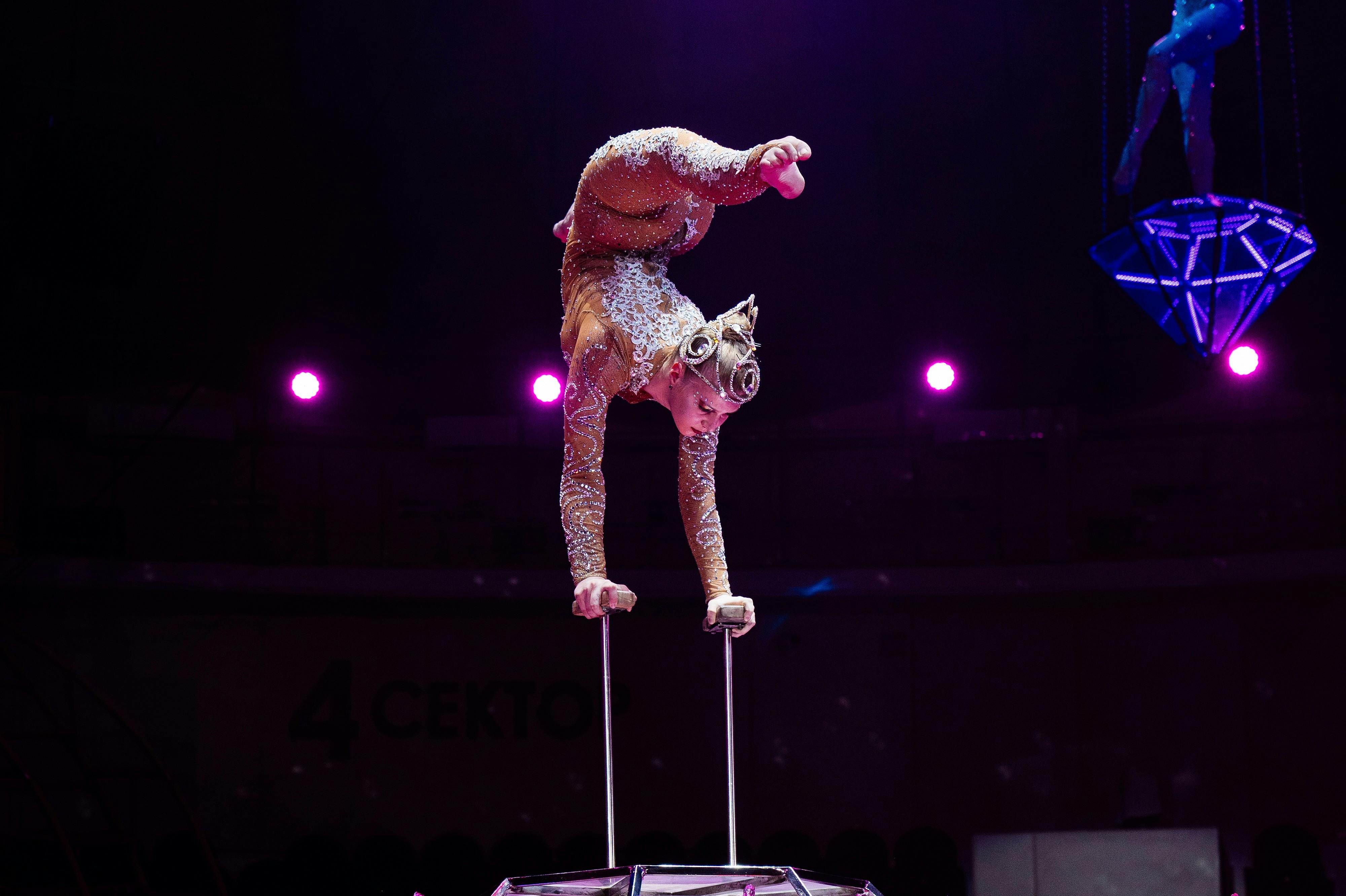 水上马戏团表演