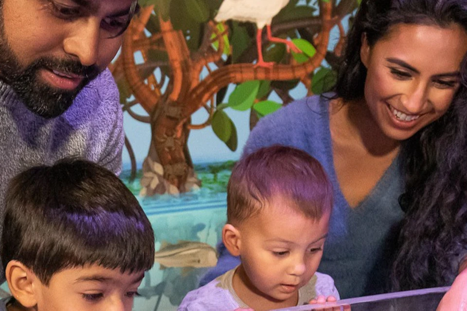 A family, including two children, interacts with a stingray in a touch tank at an aquarium with a tropical backdrop.