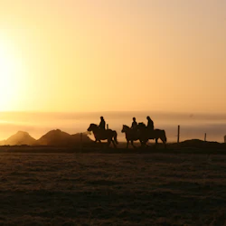 Iceland: Horseback Riding - Siggi Tour