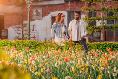 Madurodam in The Hague: Tickets Cheaper Than Official Site