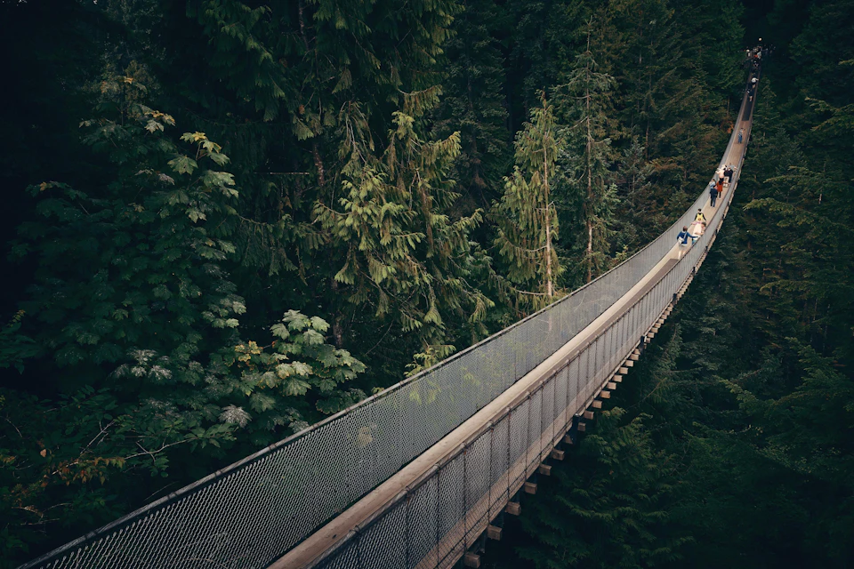 Capilano Suspension bridge