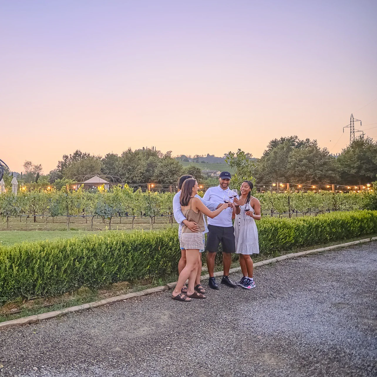 Chianti: Guided Winery Tour from Florence + Dinner
