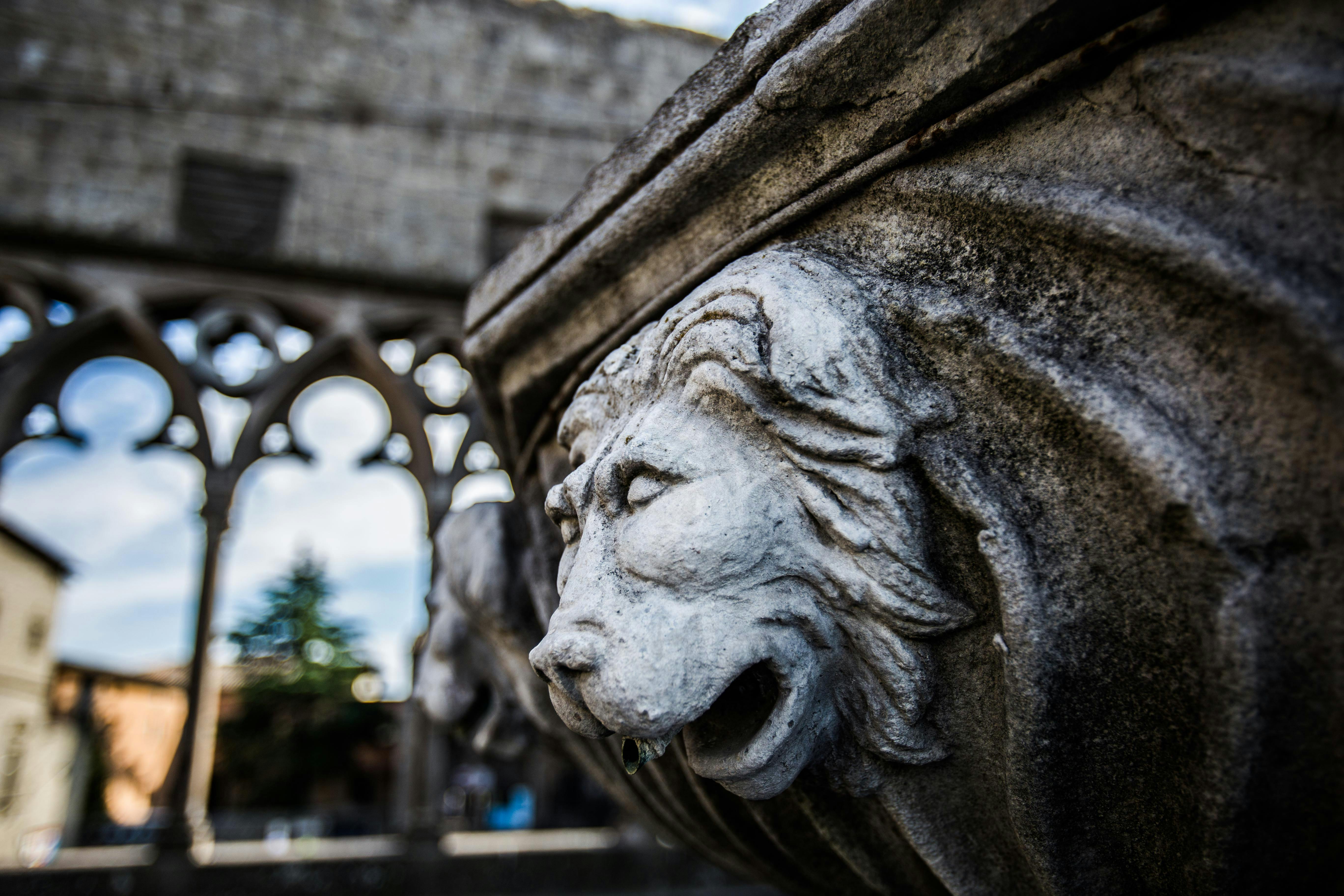 Close-up of a stone lion head sculpture with architectural ruins and trees blurred in the background.