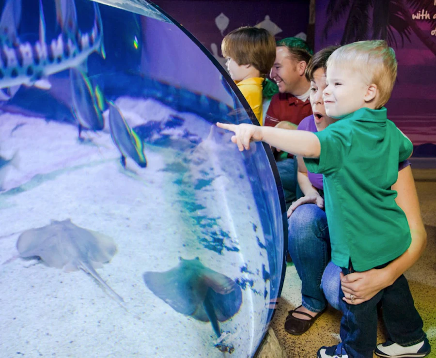 SEA LIFE Michigan Tickets