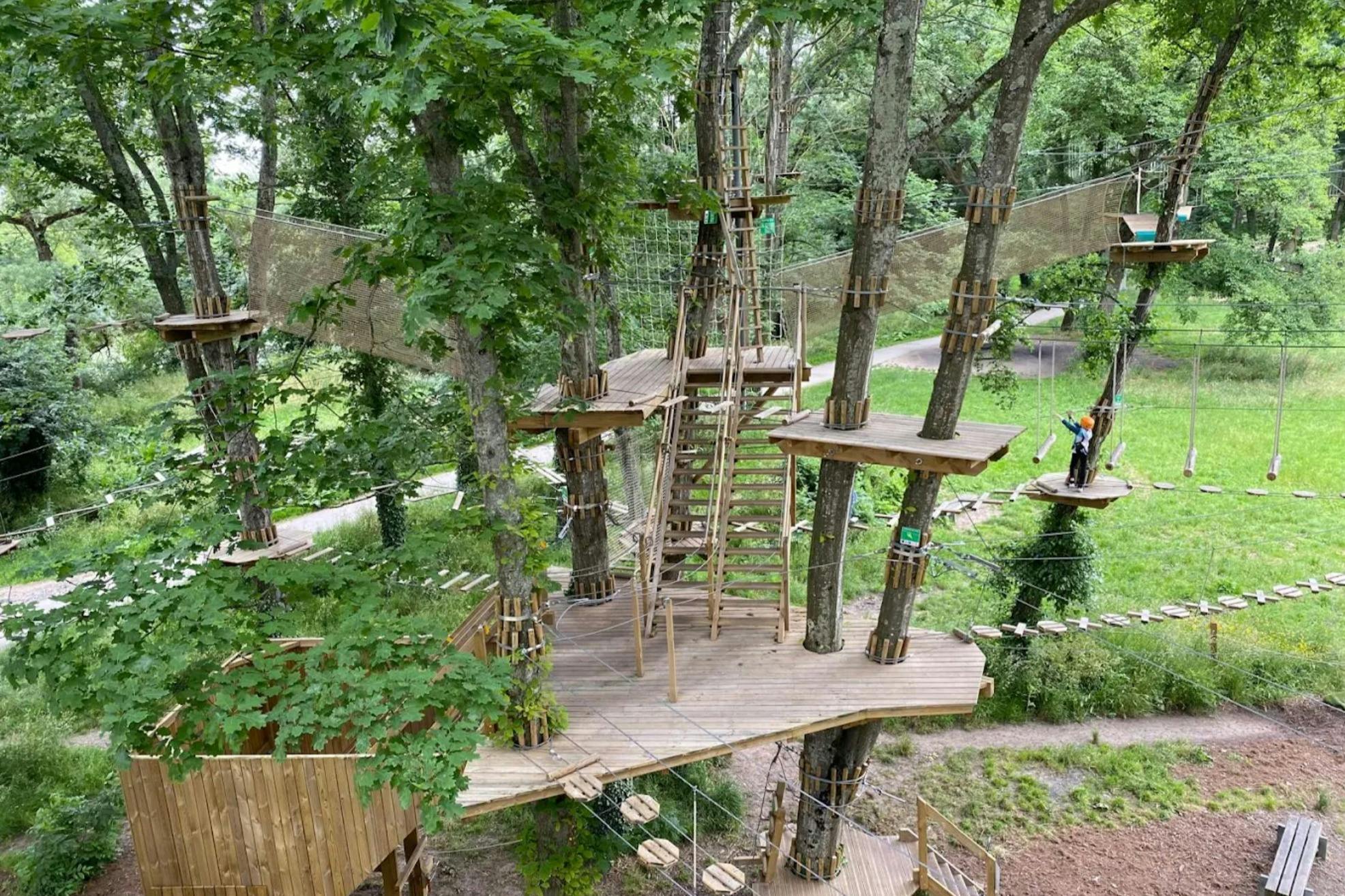 A tree-top adventure park with wooden platforms, climbing structures, ropes, and ladders interconnected among tall trees.