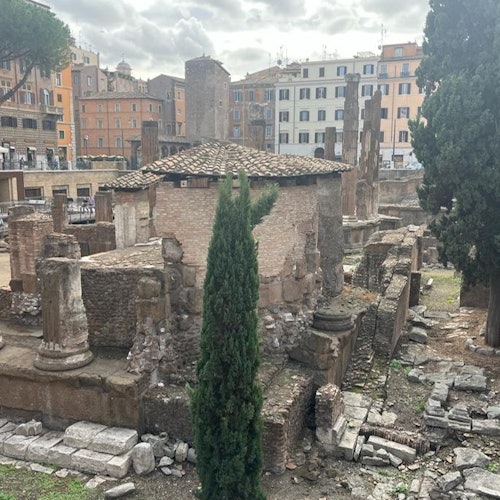 Rome: Archeological Area Largo Argentina Entry Ticket