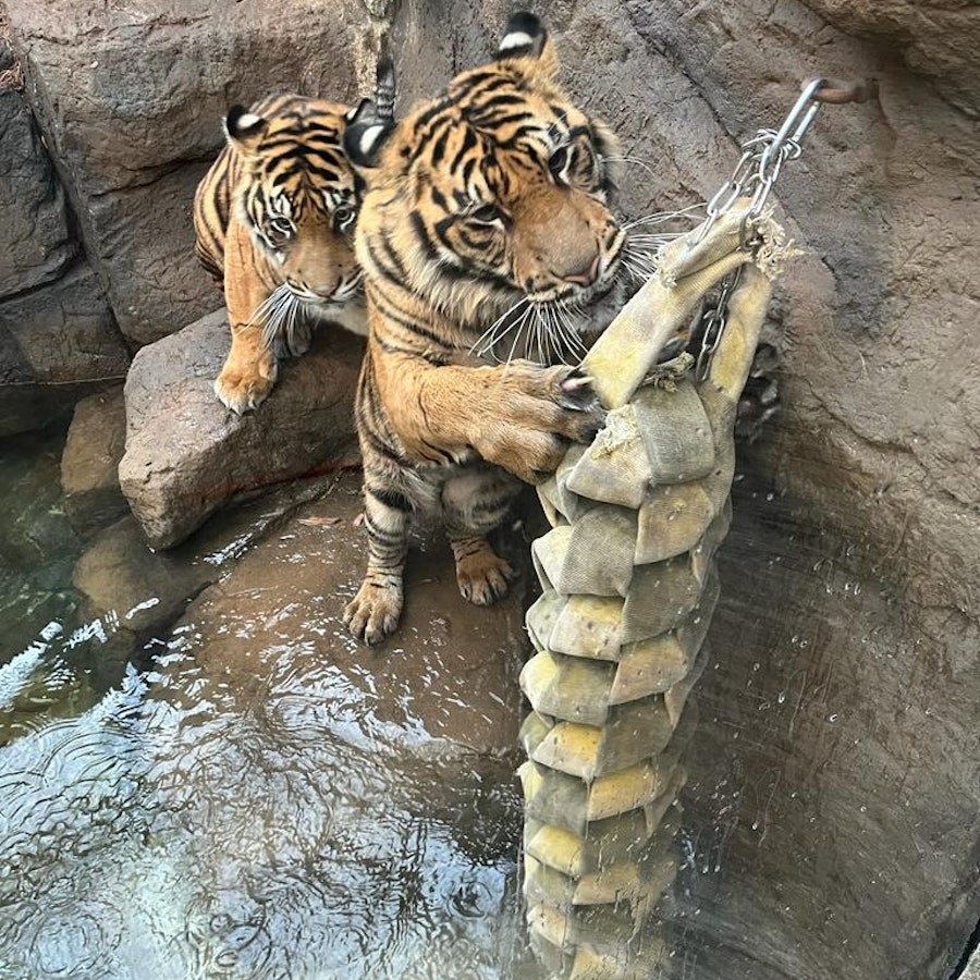 Denver Downtown Aquarium Tickets Hellotickets