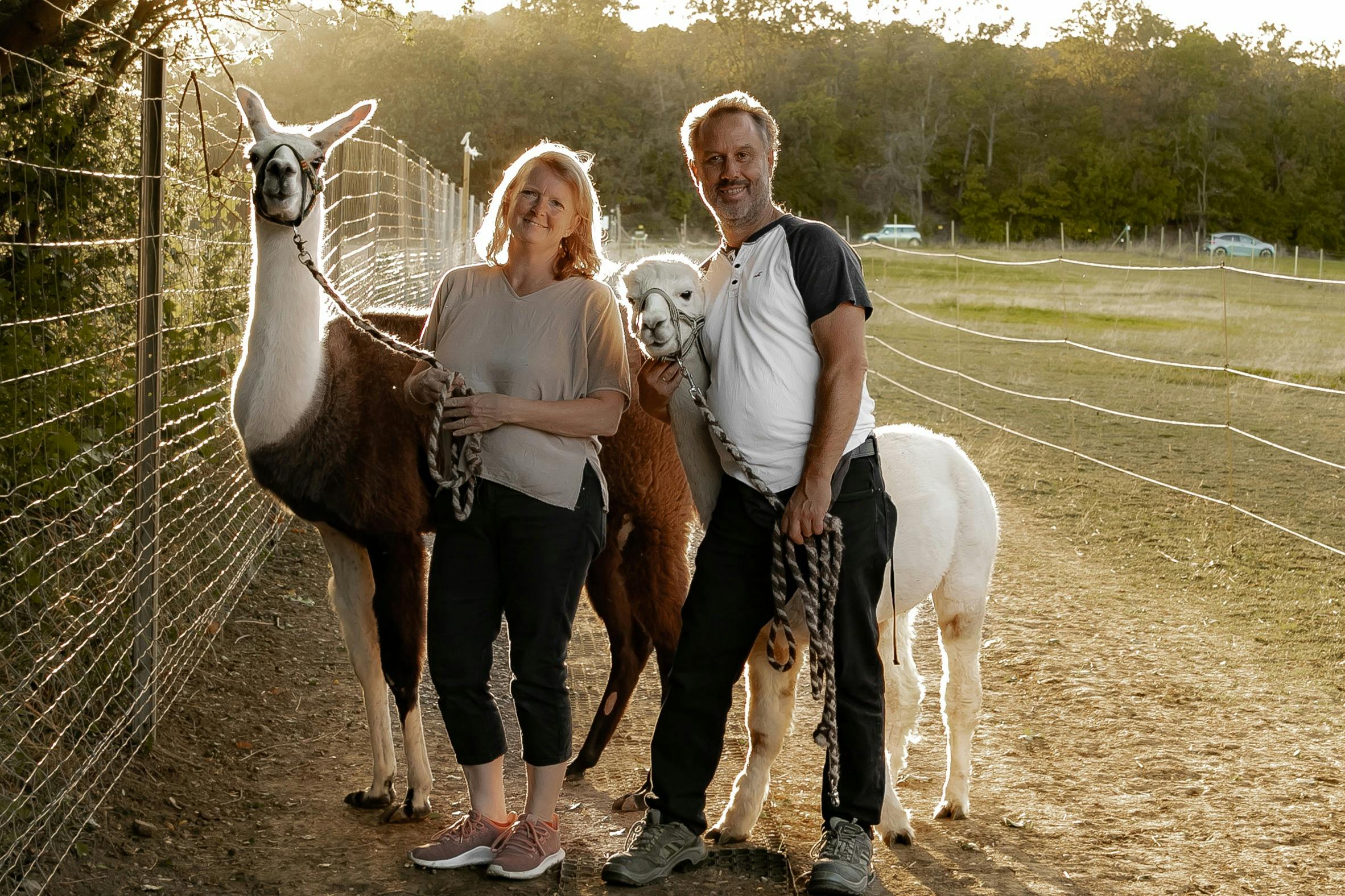 Sam the Llama and Gandalf the Alpaca