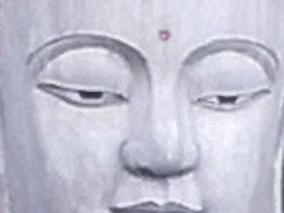 Large seated Buddha statue in a forested area, with a curving road and tiered building below.