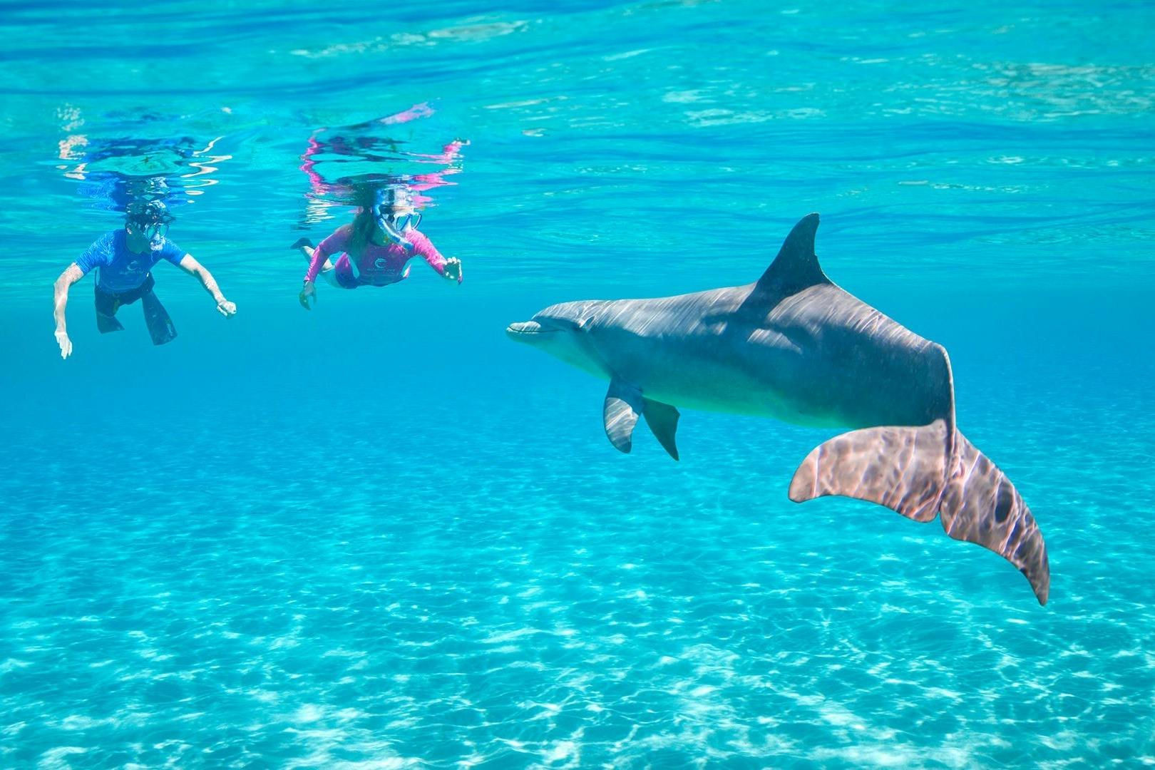 Dolphin House Royal VIP Sea Trip Water Sports Transfer HURGHADA