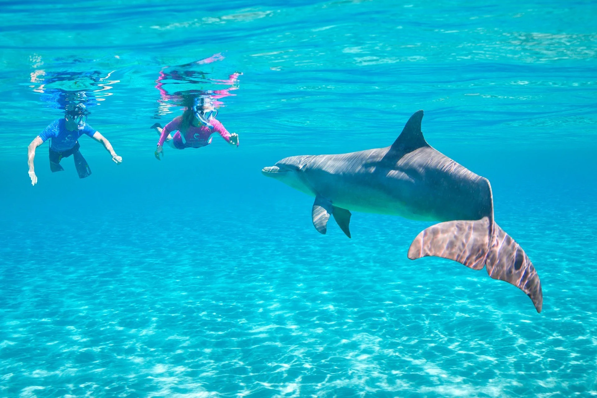 Dolphin House Royal VIP Sea Trip Water Sports Transfer HURGHADA