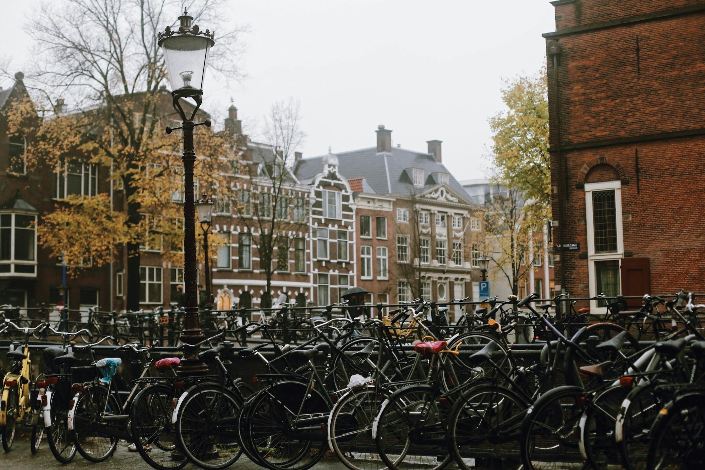 City Walk Amsterdam with Babylon tours