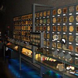 Ett mörkt rum med väggar täckta av inramade petriskålar. Glasdisplayer och förstoringslampor visar olika föremål. En person är närvarande.