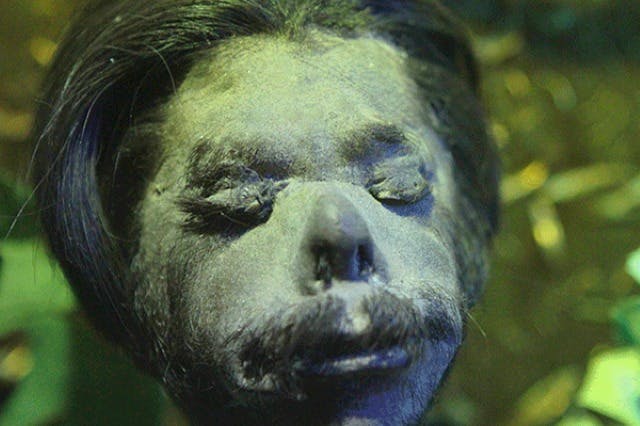 Ripley's Believe It or Not! y el Laberinto del Espejo de San Francisco