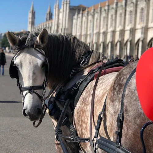 Lisbon: Horse-Drawn Carriage Ride in Belém - Photo 3