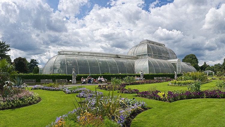 Kew Gardens: Giriş Bileti Bilet - 0