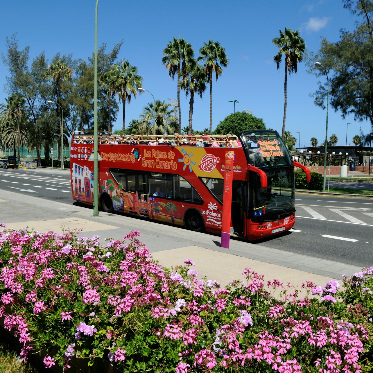 Autocarro hop-on hop-off Las Palmas de Gran Canaria - Acomodações em Las Palmas de Gran Canaria