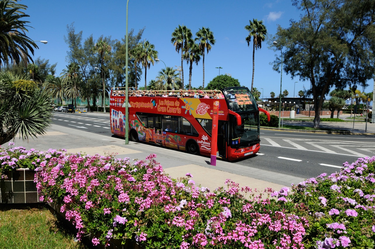 Bus turístico por Las Palmas de Gran Canaria - Alojamientos en Las Palmas de Gran Canaria